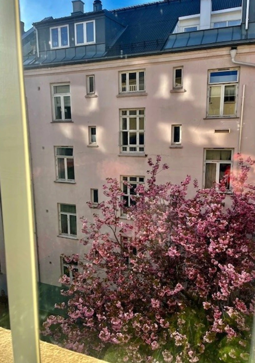 Usikt fra kjøkken og soverom 1